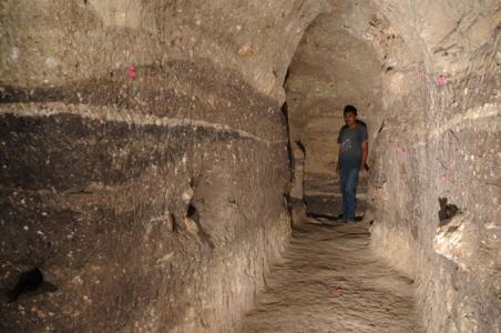 Se acercan al origen de los mayas Se acercan al origen de los mayas